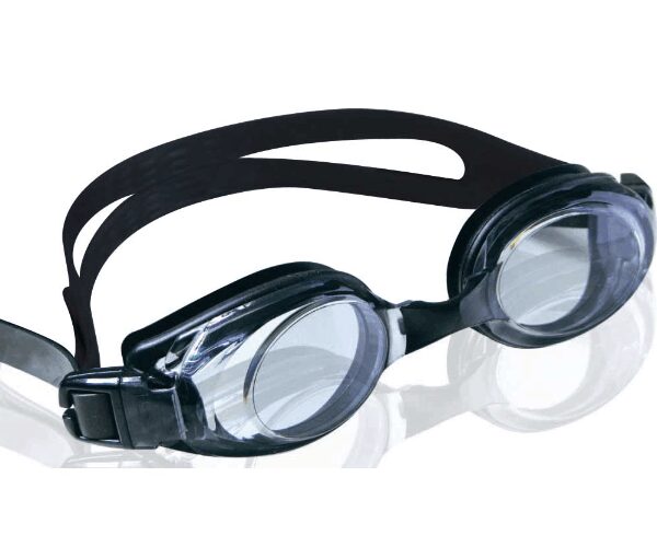 GOGGLE GORDON SMOKE/SILVER GOGGLE GORDON SMOKE/SILVER