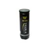 WISH TOUR-X 830 TENNIS BALLS